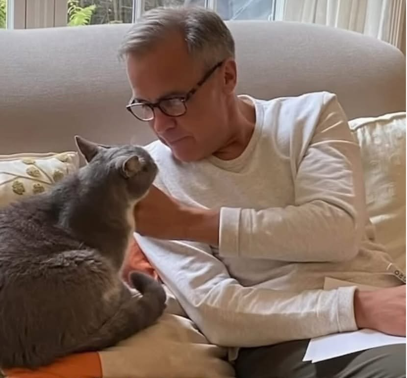 My fellow Catnadians and my fellow cat lovers, my name is Nico Carney, and I am honored to serve as the next Cat Prime Minister of Canada! I look forward to serving you, espcially in these hard times ahead! I also look forward to connecting with my counterparts as well.