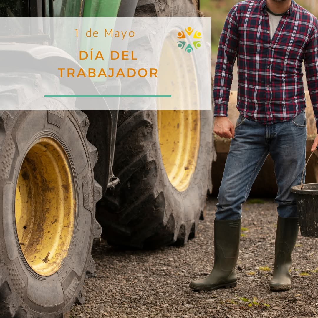 En el Día del Trabajador, celebramos a todos aquellos que hacen posible el desarrollo de la lechería, en un compromiso constante con la calidad, el bienestar animal y el cuidado del campo 🐄🚶🏻

¡Gracias por ser parte esencial de esta cadena! 👏🏻👏🏻

#1DeMayo #DíaDelTrabajador