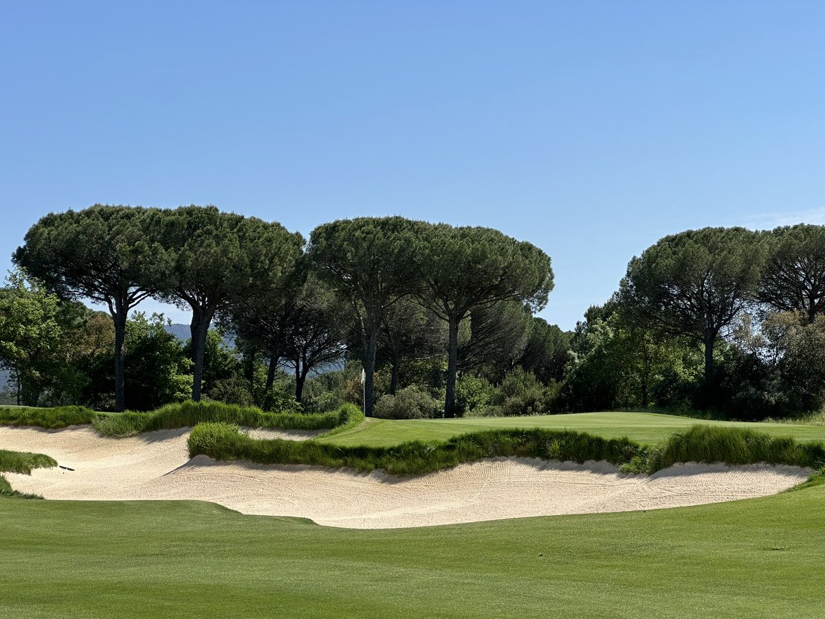 Turfgrass® tweet media