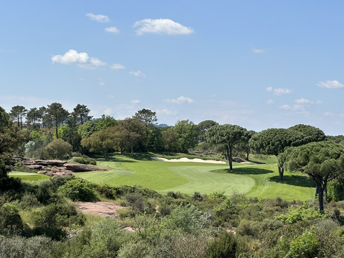 Turfgrass® tweet media