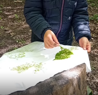 TreeHouseLearn's tweet image. Tree House Learning May 2025 Newsletter 🪢 🪲 - mailchi.mp/ef8de320871a/t…