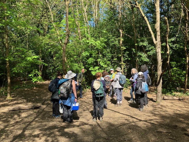 TreeHouseLearn's tweet image. Tree House Learning May 2025 Newsletter 🪢 🪲 - mailchi.mp/ef8de320871a/t…