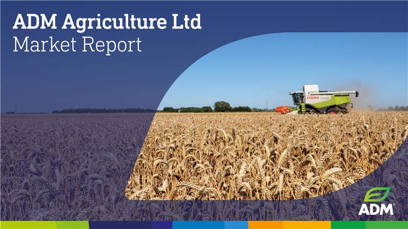 📈📷ADM Agriculture Weekly Market Report

Stay informed with the latest market trends across wheat, barley, rapeseed, oats, pulses, seed and fertiliser. 

View the full report on our website: bit.ly/42TlKmD

#MarketReport #agriculture #agriculturereport #graintrading