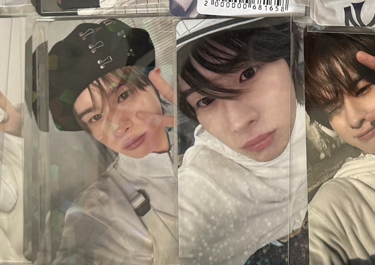 🐺🩵 tweet media