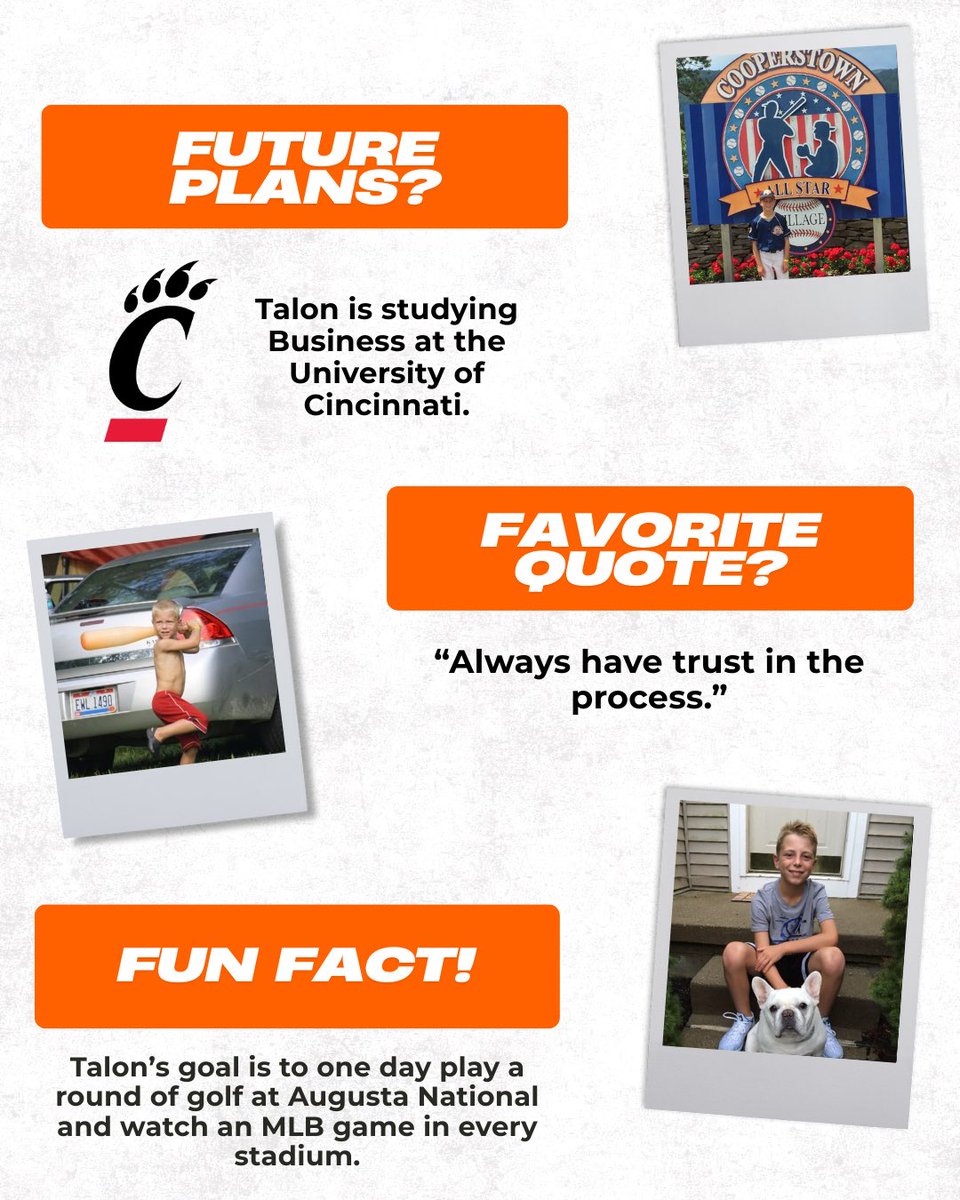 Orange Baseball tweet media