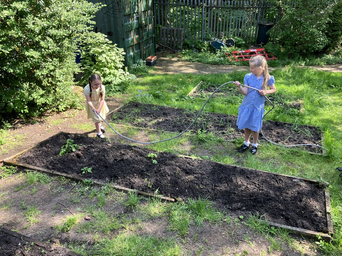 Canon Burrows CE Primary School tweet media