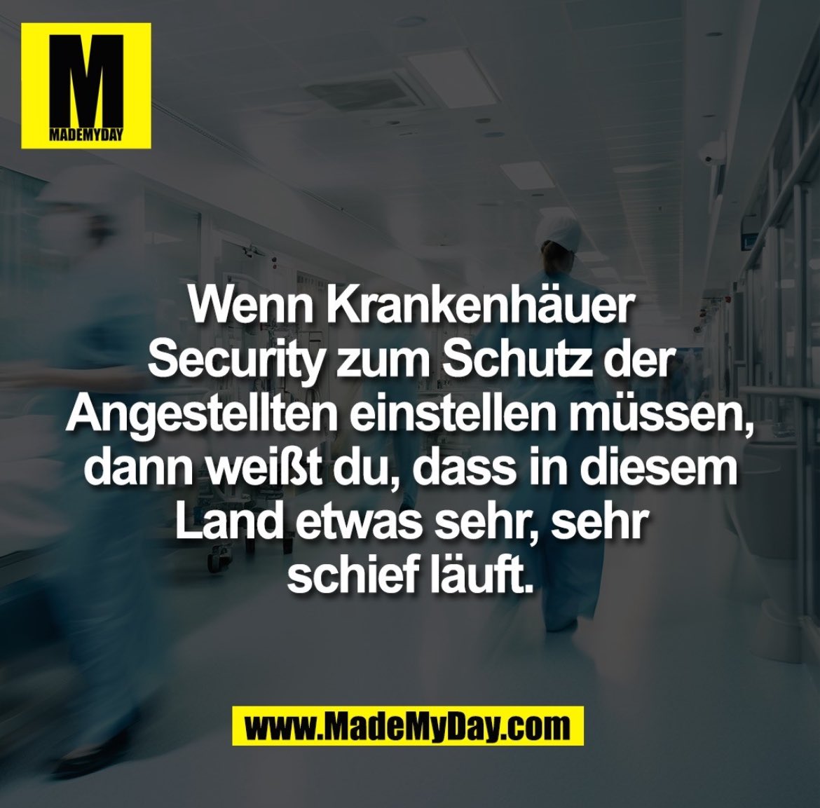 blumenwieseines (@blumenwieseines) on Twitter photo 