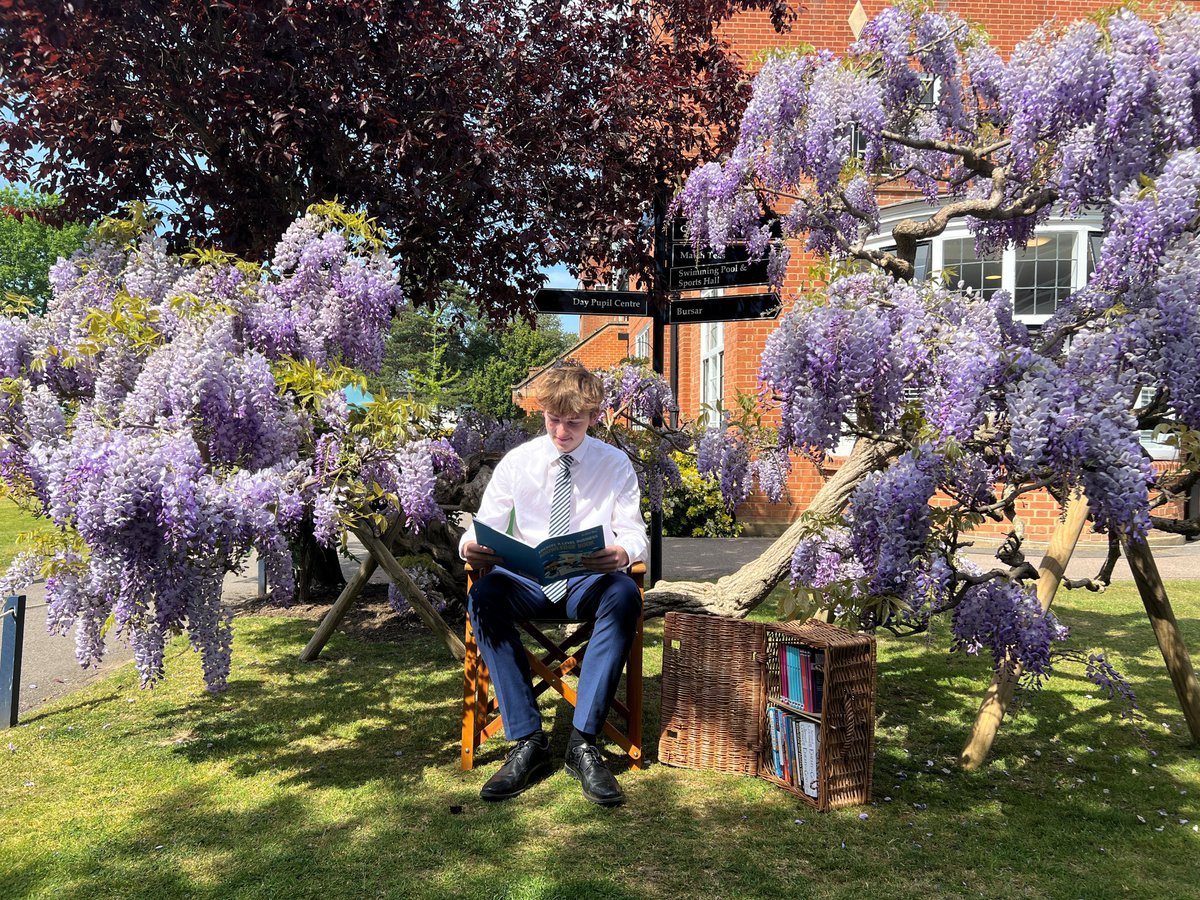 Reed's School Cobham tweet media