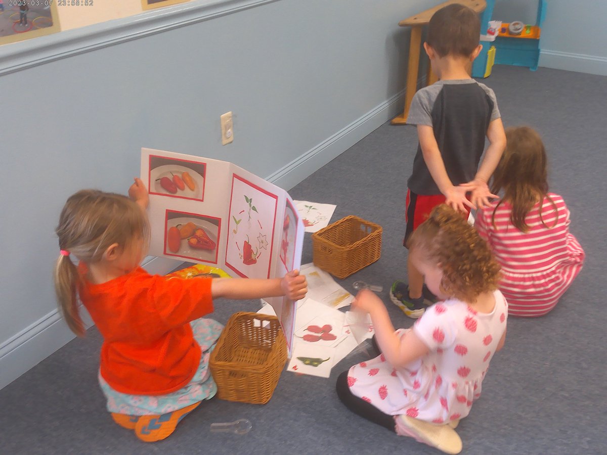 MLCDS_NJ's tweet photo. The Preschool &amp; Pre-K children had a visit from Macculloch Hall where they learned all about peppers!  They each received their own pots and planted their own peppers to care for at home. https://t.co/uZI9ArIN0E