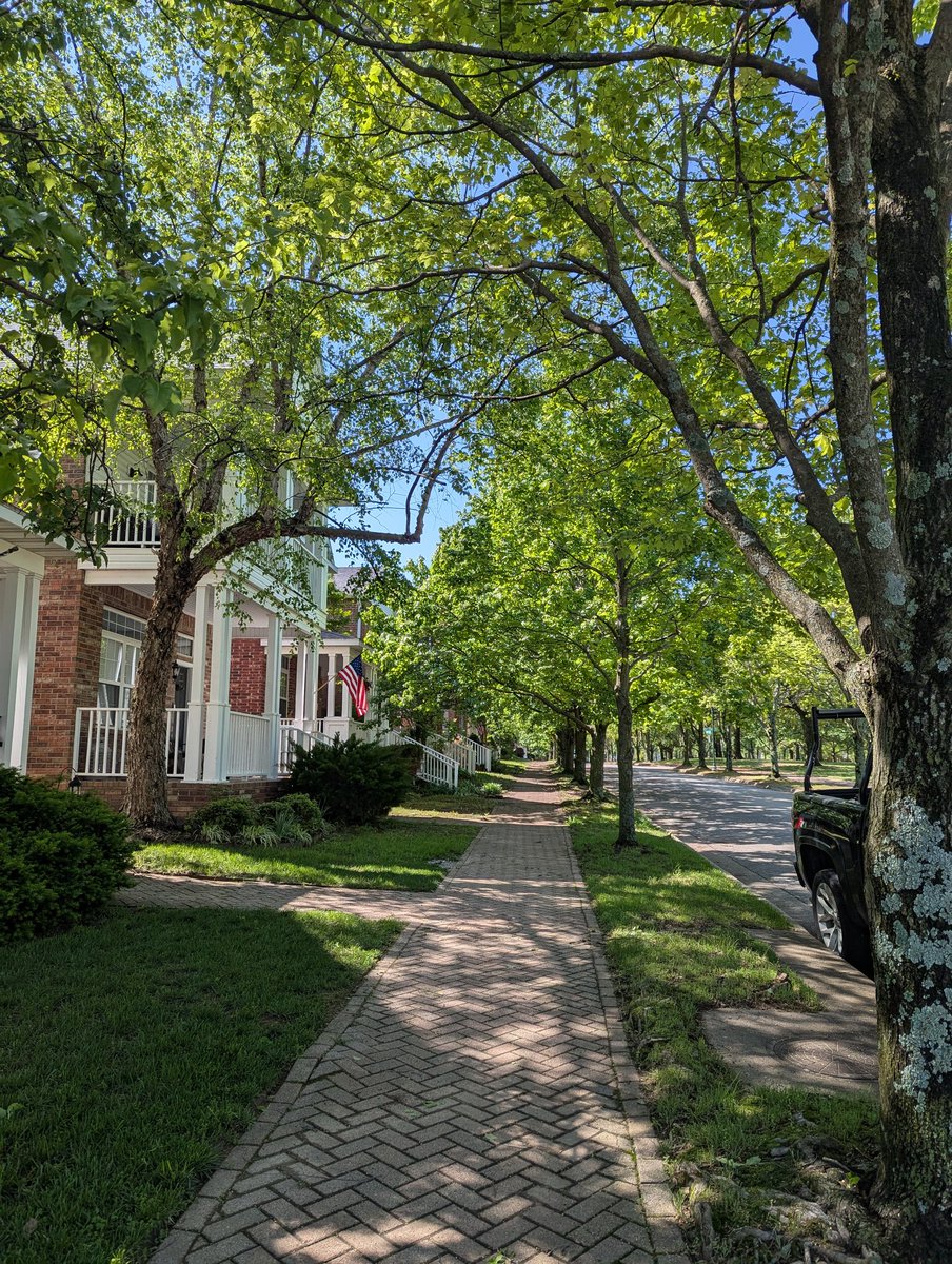 Hard to believe that I am in Springdale Arkansas. An excellent demo of the power of street trees and front porches. Garages are in the back.