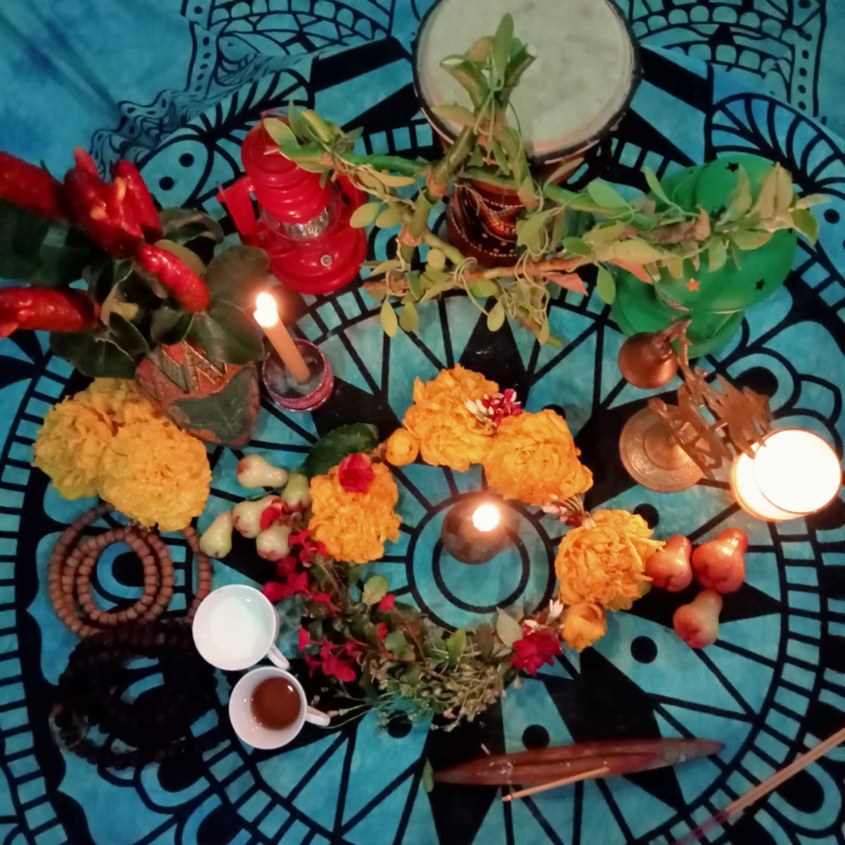 女巫们，Happy Beltane!

生命是最神奇的魔法，我们礼赞生命的循环与灵魂的觉醒…

愿Beltane之火点燃你的希望；
愿春之花朵回应你的召唤；
愿爱与光伴你一路同行…

<a href="/thomaslim2019/">老林永生</a> 成⭕一事我们觉得还得学习，先预备着。我们小小预备女巫圈祝老林Beltane节日快乐！

谢谢十三的花美人更美！
#Beltane