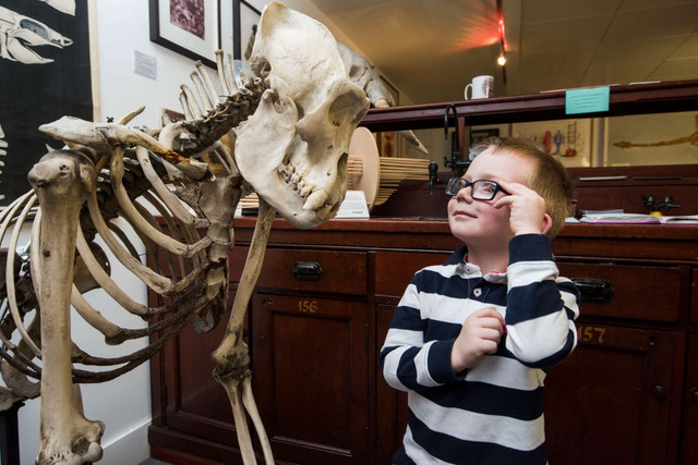 Weird, wonderful and uniquely Dundee.🦉

The D’Arcy Thompson Museum is packed with zoological oddities, from giant Japanese spider crabs to Ichthyosaur fossils… BUT it’s only open for one day each month!

Learn more at visitdundee.com/things-to-do/a….