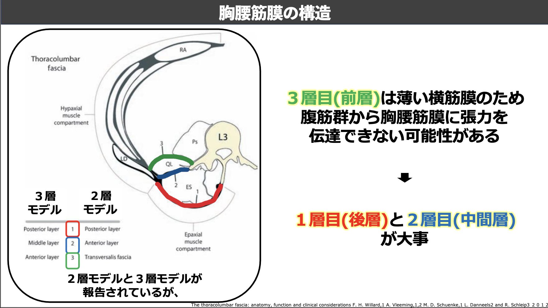 人体の張力ネットワーク 膜・筋膜―最新知見と治療アプローチ