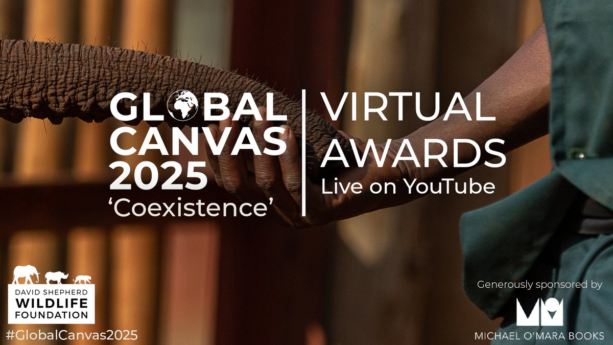 DSWFWildlife's tweet photo. Yesterday we hosted the incredible Global Canvas 2025 live final — and what a celebration it was! 🎨

We were blown away by the creativity, passion, and community spirit on display. 🌍

The full award ceremony is now live on YouTube 🔗https://t.co/e6AMryd7C6
#GlobalCanvas2025 https://t.co/FfiqIFyUyj
