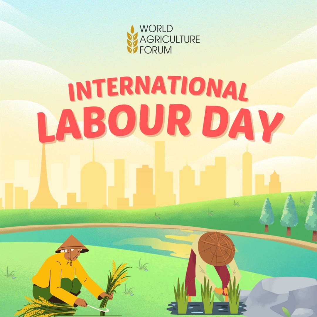 Honouring agri-workers this #LabourDay—25% of the global workforce feeds us, yet many face unsafe, unfair conditions. Let’s commit to justice, safety &amp; sustainability in farming. 🌾🌍
#FarmersFirst #AgriWorkers #SupportFarmers #FoodSecurity #WAF