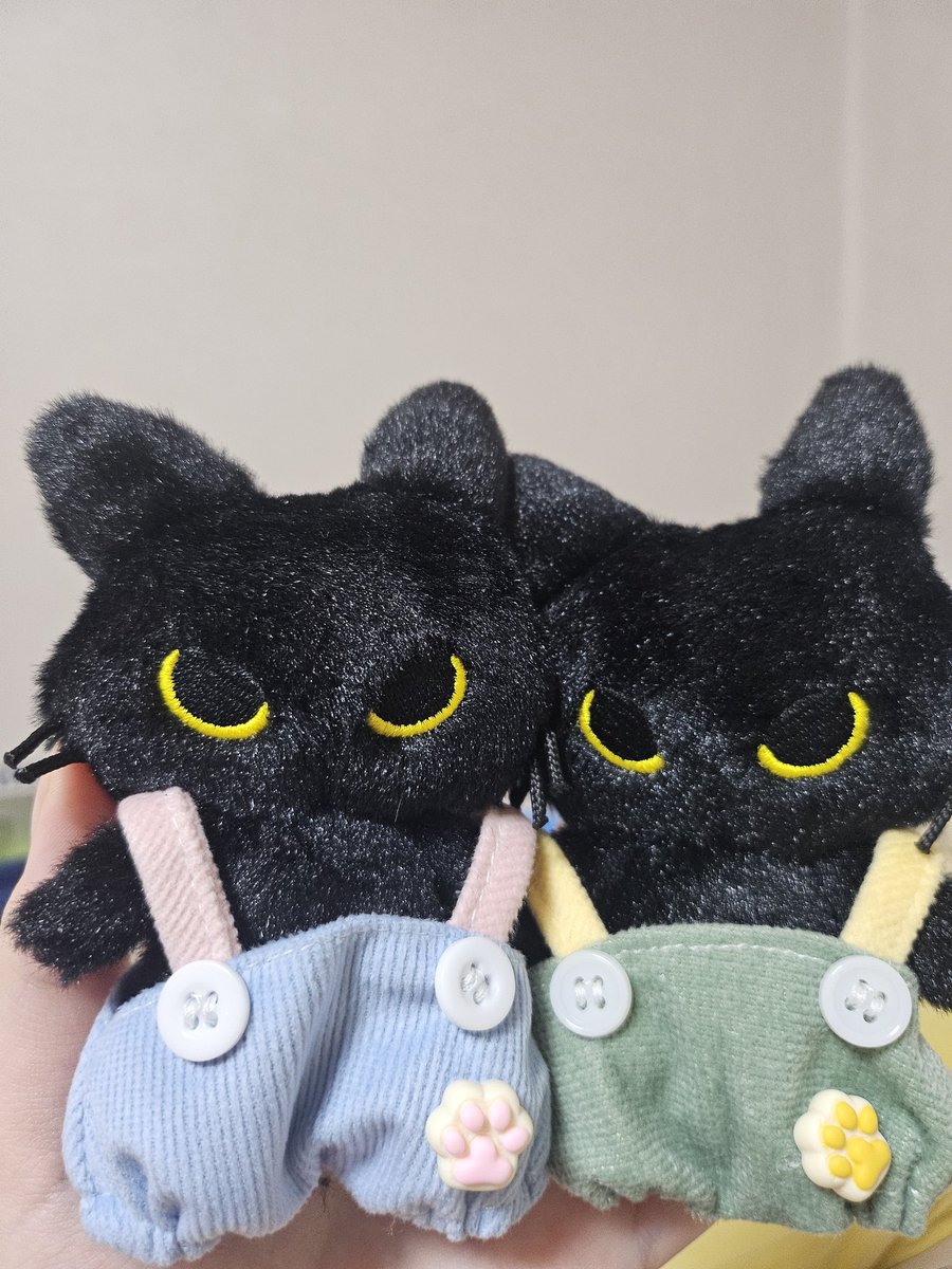 🐈‍⬛ 쌍둥이 예냥이 🐈‍⬛
예냥아 형아 닮아서 마른거니?
왜 10cm 옷이 다 커🤨🤨 옷 사러 가야겠네

#예냥이 #예성 #yesung