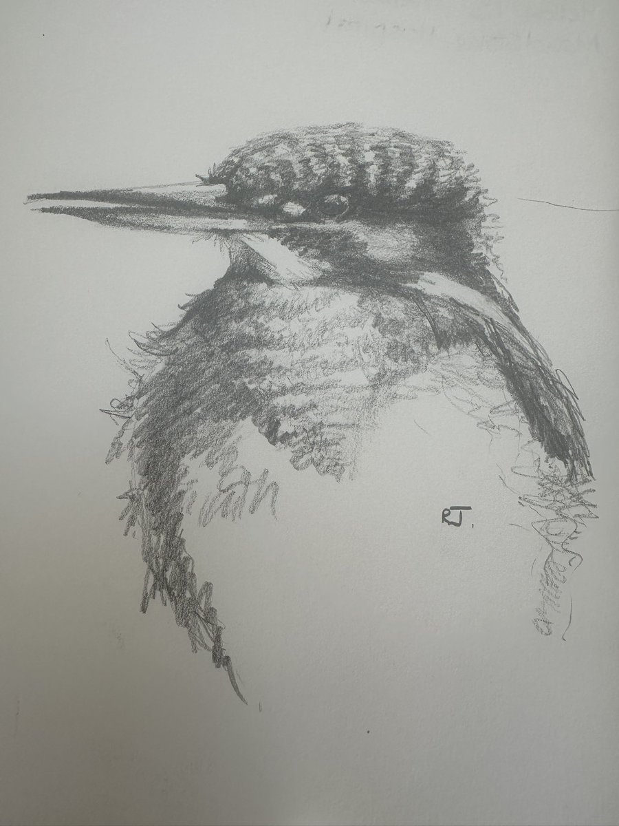 Back waiting again with my blunt pencil and notepad!