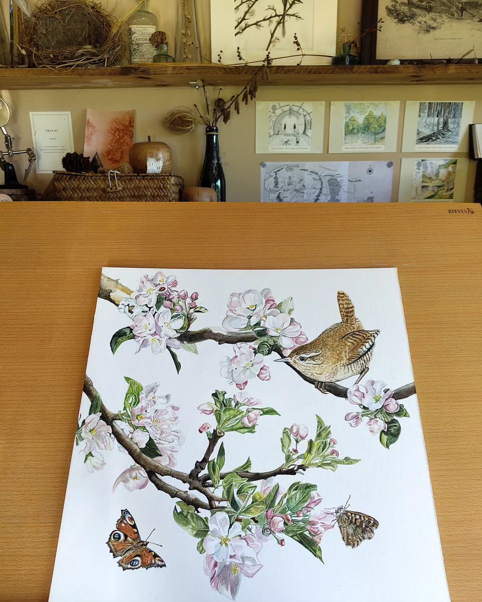 Enjoy the POV of Natalie Toms, Cotehele's next exhibited artist! We can't get our heads around the level of detail here 😲

Natalie's exhibition will run Saturday 3 to Sunday 11 May in the Victorian Drawing Room at Cotehele.