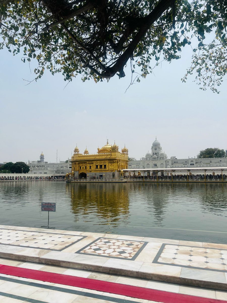 ਨਾਨਾ ਨਾਨੀ ਦੀ ਲਾਡਲੀ💜 tweet media