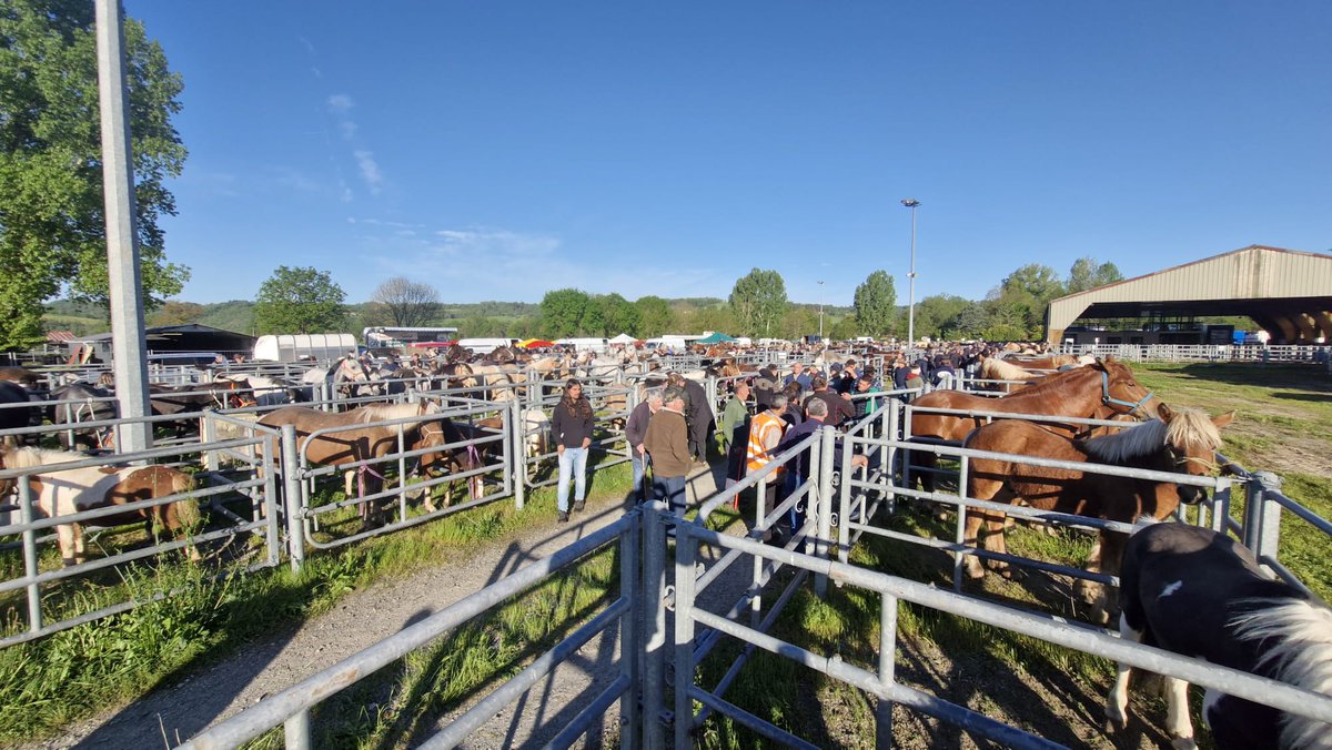 🔴 Foire de la mort : 3 ans après, qu’en est-il des promesses ?

À l’automne 2022, La FBB dévoilait, dans une enquête en caméra cachée, l’extrême violence que subissaient les équidés exposés et vendus sur la foire chevaline de Maurs. Roués de coups de bâton, entassés dans des