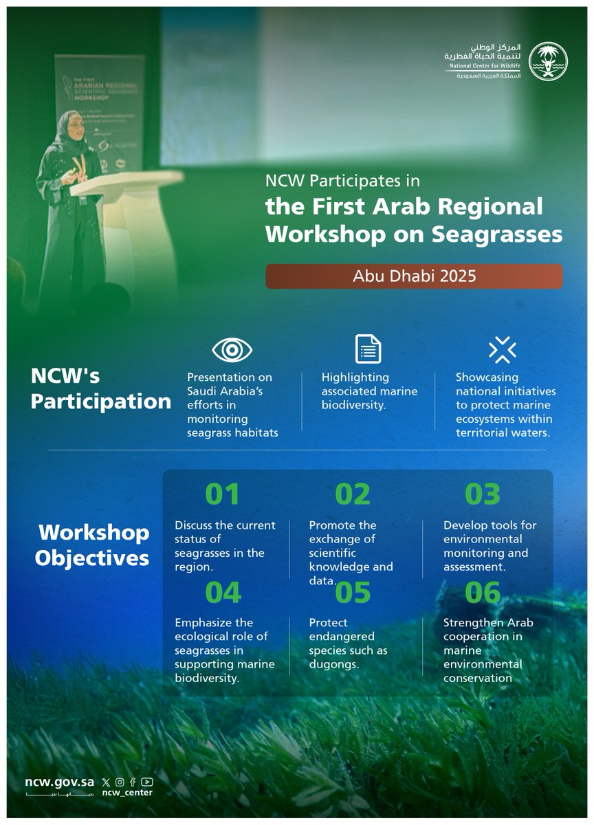 NCW_center's tweet photo. NCW participated in the First Arab Workshop on Seagrasses held in Abu Dhabi, showcasing the Kingdom’s efforts in monitoring these vital habitats and their associated biodiversity, while promoting research collaboration and the protection of endangered species.

#NurturedByNature https://t.co/ttQgpIYiPR