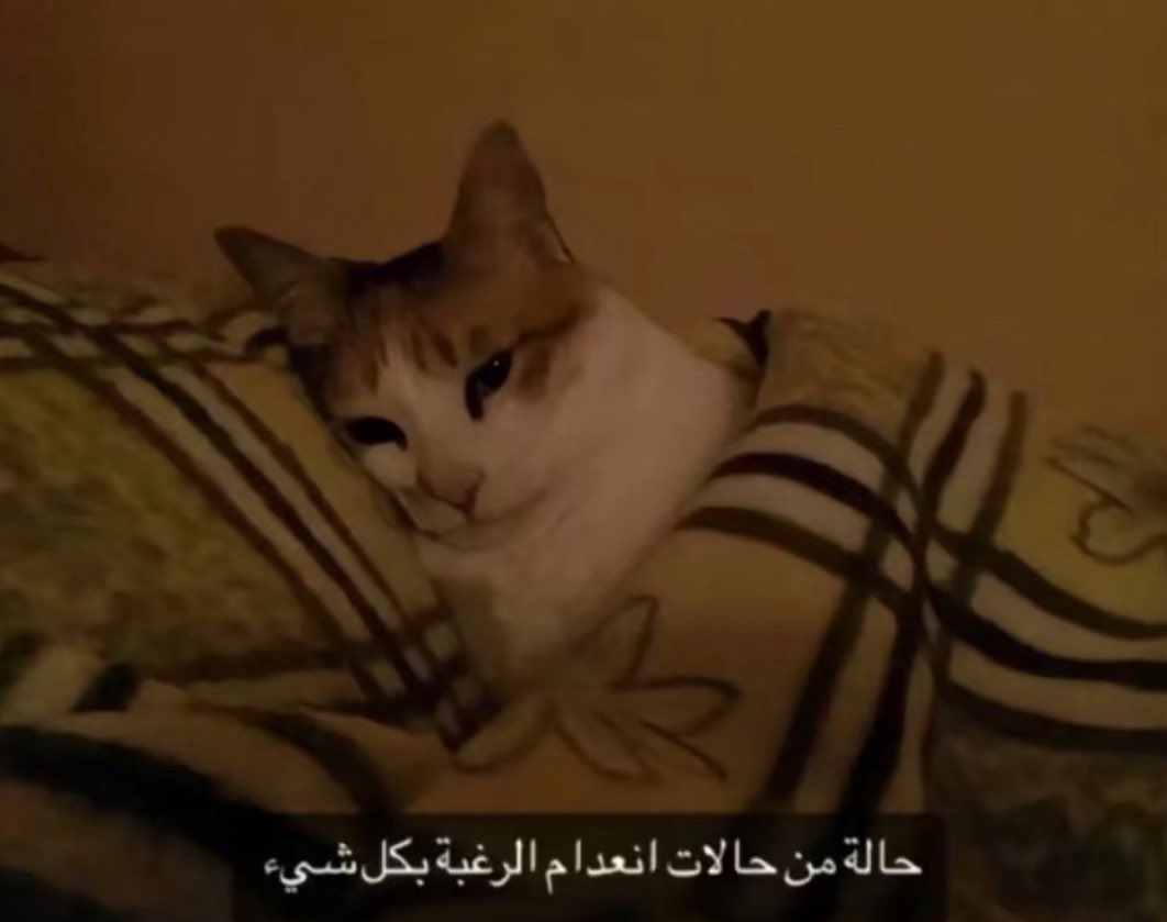 الوضع حاليًا🫩🫩  #فضفضه_مشاعر