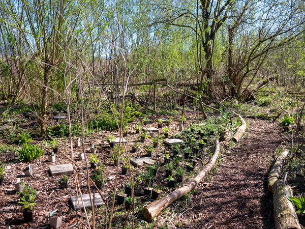 Anna's Tuin & Ruigte tweet media