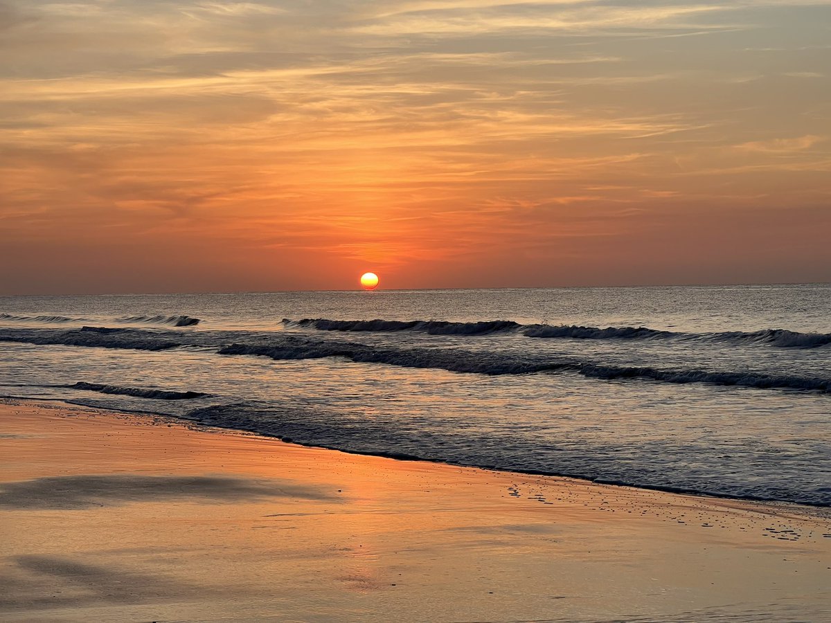 CarolinaGirlGen's tweet photo. A beautiful sunrise for the first day of turtle patrol! #Seaturtles #TurtlePatrol #Sunrise #BeachLife https://t.co/mtShHIfQmu