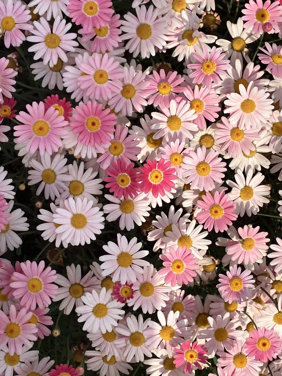 園芸用土リサイクル
