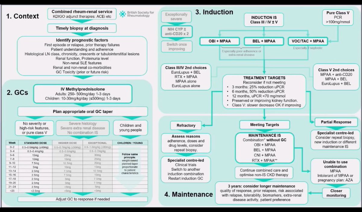 🔥 #BSR25  Lupus Nephritis Guidelines is coming soon 
<a href="/LastManStand85/">Rheuma Doc</a>