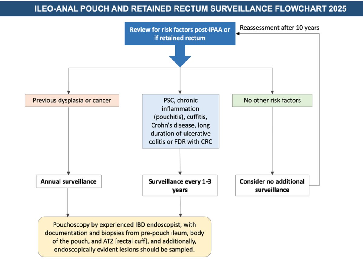 The BSG IBD surveillance guidelines are now out‼️🆕 ⁦<a href="/Gut_BMJ/">Gut Journal</a>⁩

1️⃣ When to survey and risks of cancer
2️⃣ Management of dysplasia
3️⃣ How to describe IBD lesions
4️⃣ Pouch surveillance

📸: gut.bmj.com/content/early/…