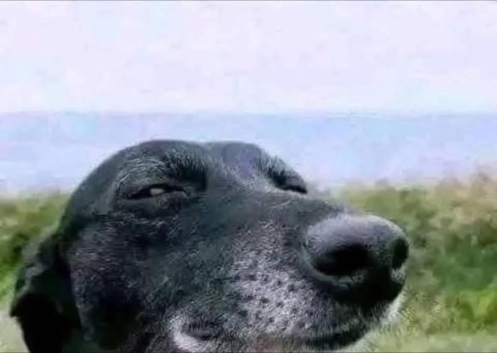 Your cheating boyfriend when you ask for his phone