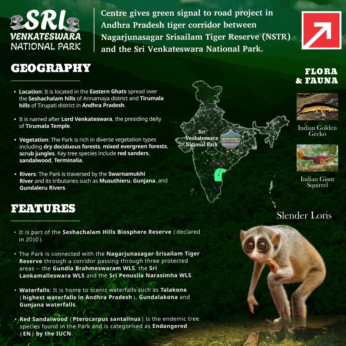 ForumIAS's tweet photo. National Park
Today's topic: Sri Venkateswara National Park 

#forumias #ias #upscprelims2025 #placesinnews #viral #viralpost #ig #instadaily #instagram #nationalpark #turtle #slender #loris #gecko #seshachalam #swarnamukhi #srisailam https://t.co/6ycm20QIxc