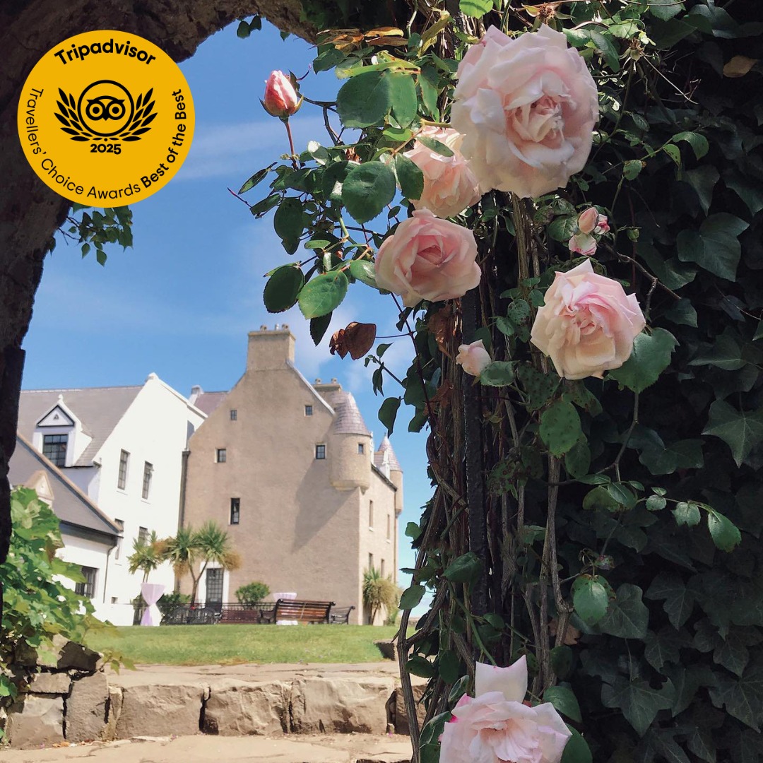 Ballygally Castle (@ballygallyhotel) on Twitter photo We're honoured to be in the top 1% of hotels worldwide in <a href="/Tripadvisor/">Tripadvisor</a>'s Travellers' Choice Awards — ranked 19th Best of the Best in the UK! Thank you to all our guests for your incredible support as we celebrate 400 years of hospitality. We're honoured to be in the top 1% of hotels worldwide in <a href="/Tripadvisor/">Tripadvisor</a>'s Travellers' Choice Awards — ranked 19th Best of the Best in the UK! Thank you to all our guests for your incredible support as we celebrate 400 years of hospitality.