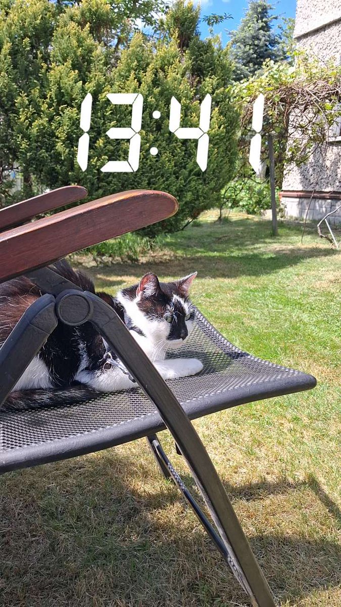 dzisiaj tak