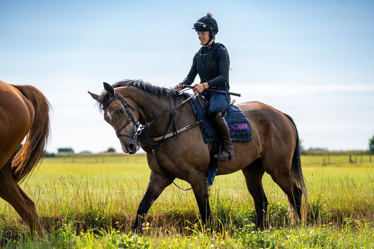 Fergal O'Brien Racing (@fobracing) on Twitter photo Three <a href="/punchestownrace/">Punchestown</a> runners today - Crambo, Stoner’s Choice and Ned Hill
#TeamFOBOnTour Three <a href="/punchestownrace/">Punchestown</a> runners today - Crambo, Stoner’s Choice and Ned Hill
#TeamFOBOnTour