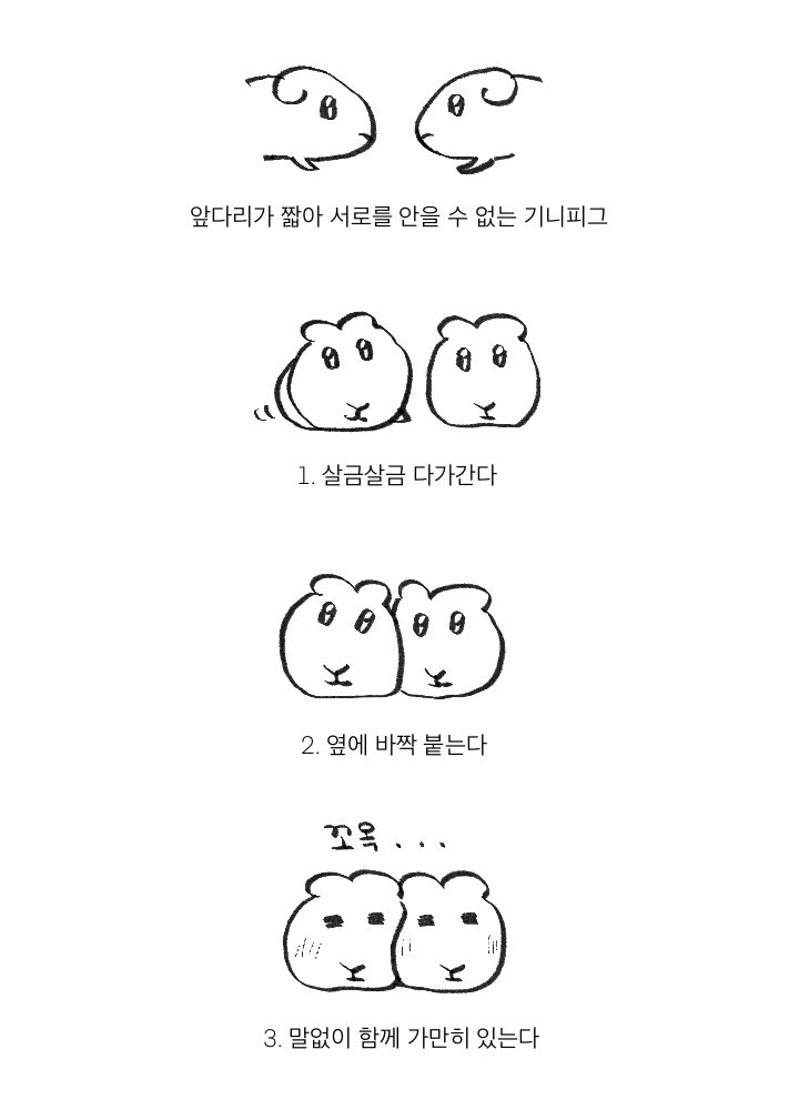 기니피그식 포옹