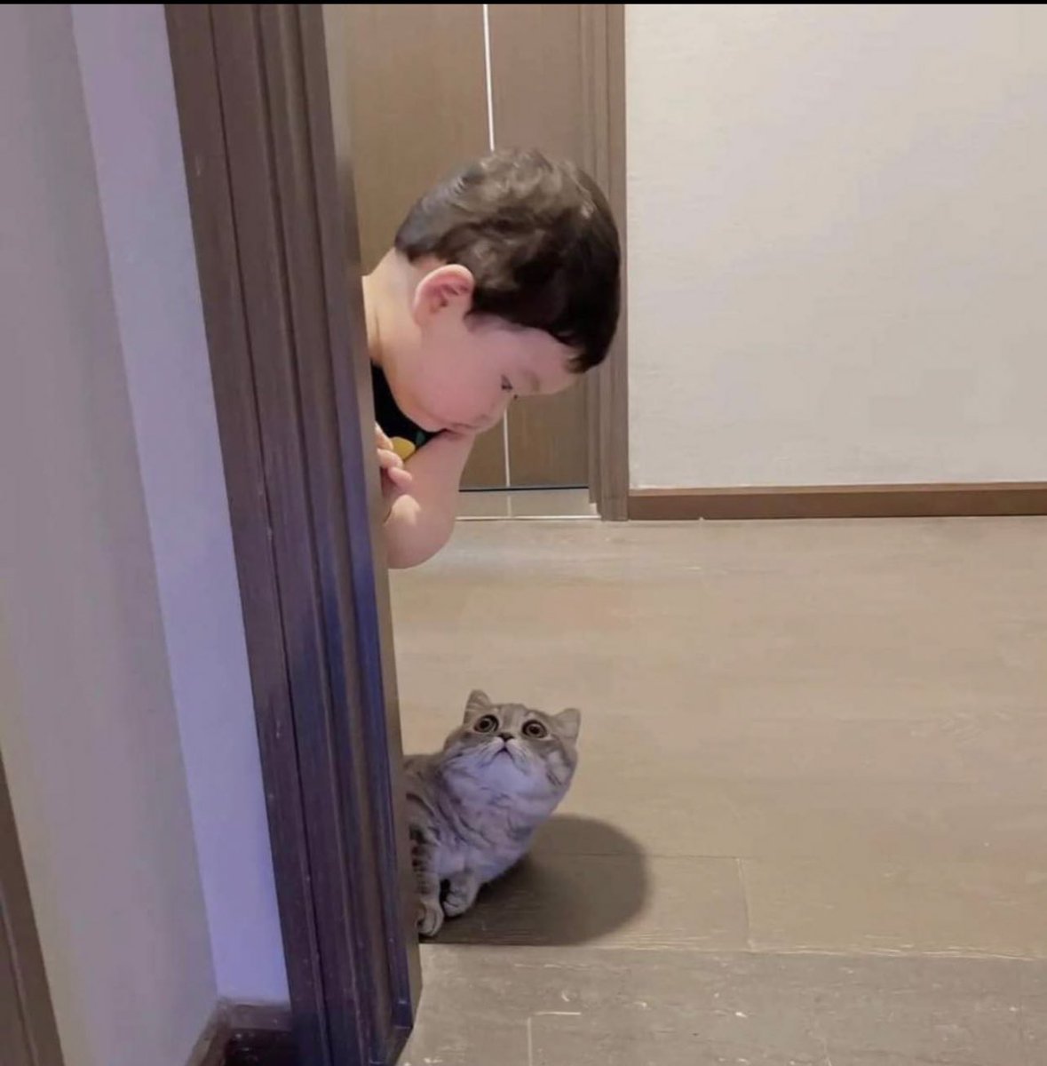 ひょっこり顔をを出したら同じポーズになっちゃった猫と子供