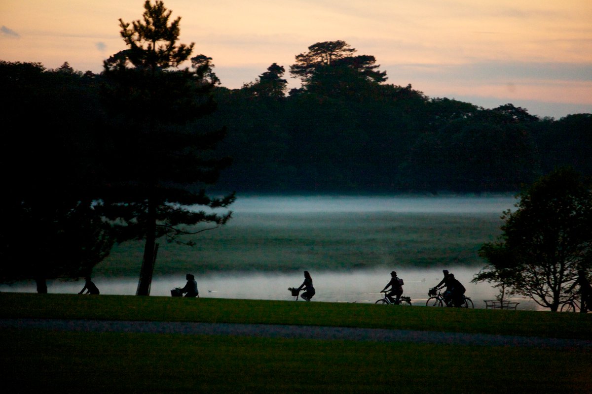 Women's Voices with Sian Croose
These popular workshops focus on singing brilliant harmony songs written for women's voices, often by women composers, from across the globe, No experience necessary to join.
Book here voiceproject.co.uk