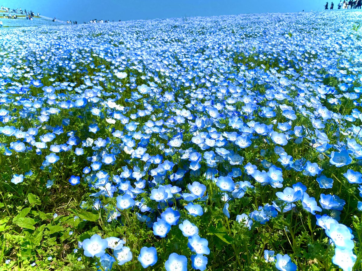 voice1216's tweet photo. おすそわけ https://t.co/xs6MEhzOh5
