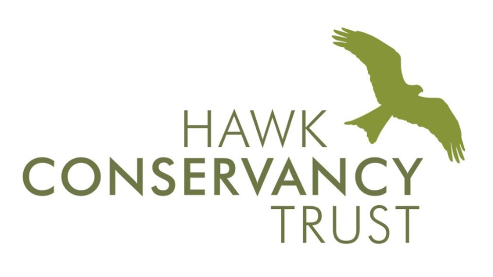 JCP in Hampshire (@jcpinhants_iow) on Twitter photo Horticulturist <a href="/HawkConservancy/">Hawk Conservancy Trust</a> in #Andover
Info/apply: ow.ly/PeWn50UShWr
#HampshireJobs #CharityJobs #HorticultureJobs Horticulturist <a href="/HawkConservancy/">Hawk Conservancy Trust</a> in #Andover
Info/apply: ow.ly/PeWn50UShWr
#HampshireJobs #CharityJobs #HorticultureJobs