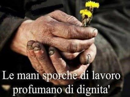 A chi ogni giorno fatica in silenzio,
a chi non si arrende,
Continua a leggere
facebook.com/share/1EmAaK38…
Buon Primo Maggio a tutti 💚🤍❤️

#PrimoMaggio #LavoroEDignità #SicurezzaSulLavoro #Futuro #Solidarietà #Diritti