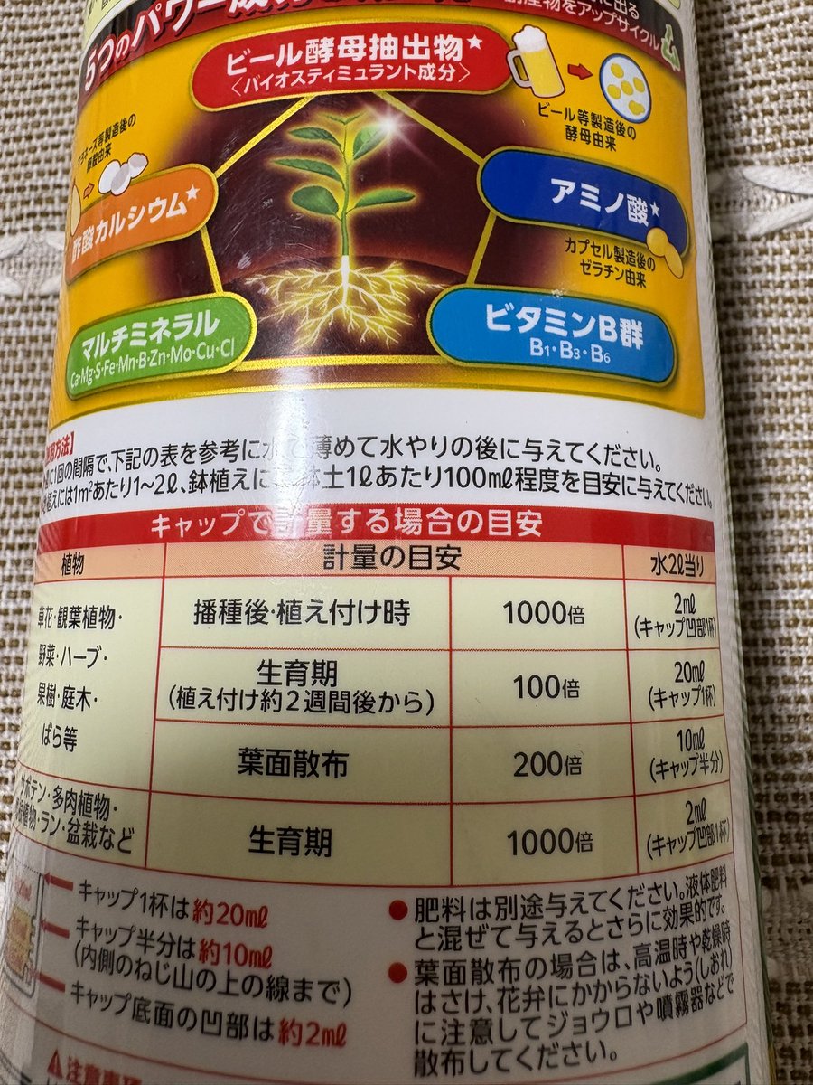 さて。 花友フェスタでお迎えしたアガベ抜き苗、カット苗の発根杯どう