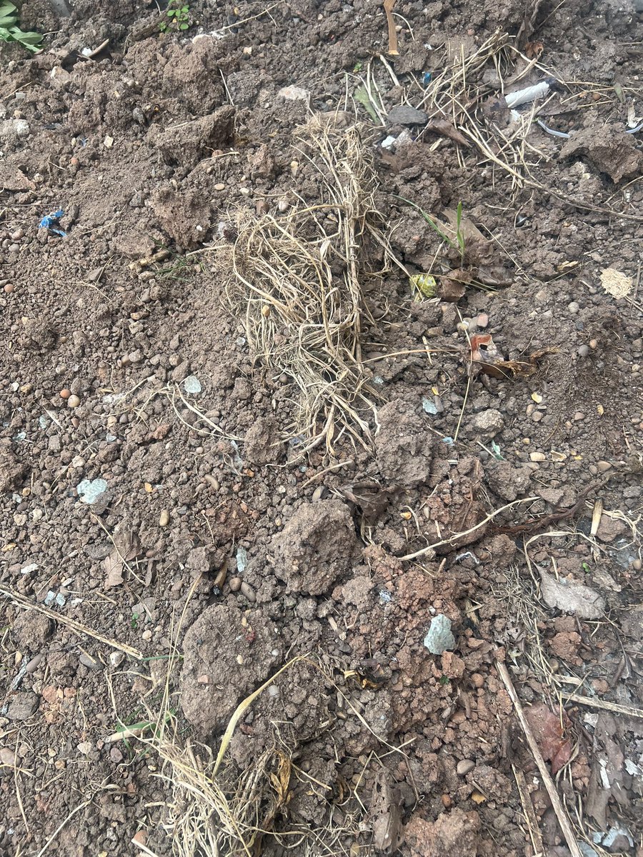 Jonny Wells tweet media