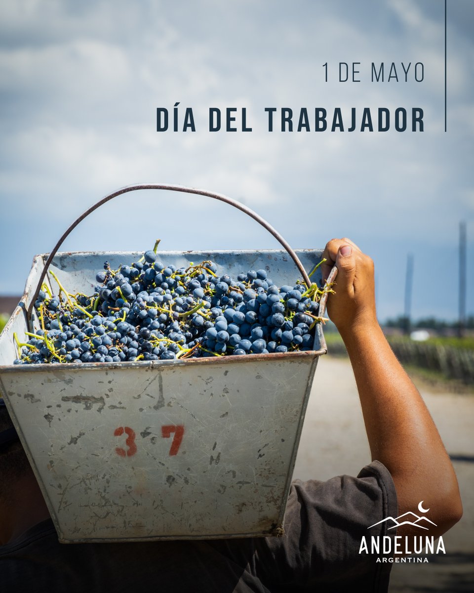 Bodega Andeluna tweet media