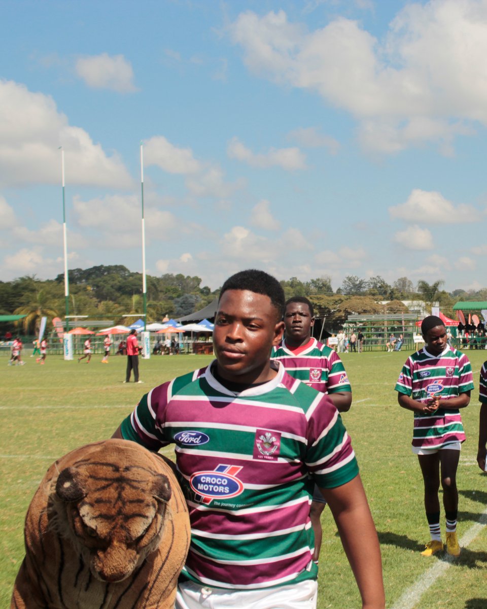 Croco Motors tweet media