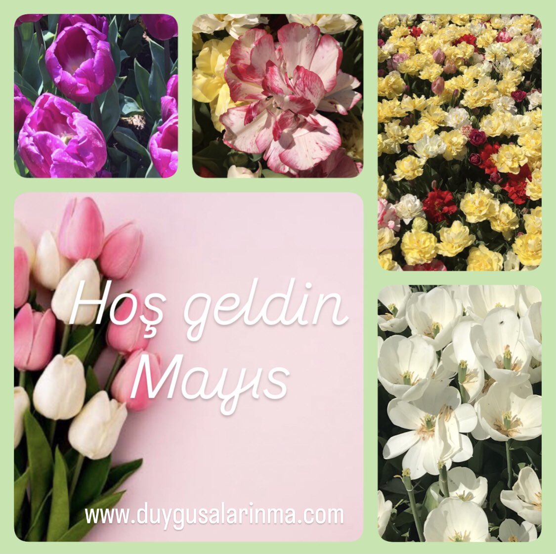 Aydınlık, sevgi, huzur, iyilikler, sağlık, bolluk bereket içinde geçen, mutlu bir Mayıs dileğiyle…