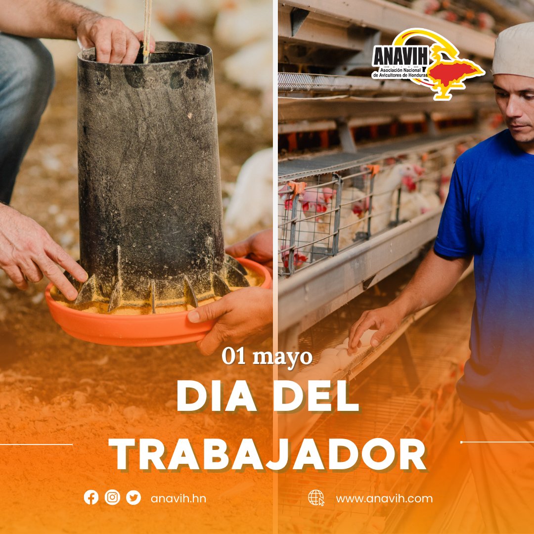 Hoy celebramos a quienes con esfuerzo, pasión y dedicación construyen día a día un mejor futuro. Su labor es el motor que mueve al mundo y su compromiso, una inspiración diaria.🌟 ¡Feliz Día del Trabajador!

#DíaDelTrabajador #1DeMayo #Honduras #ANAVIH #Avicultura