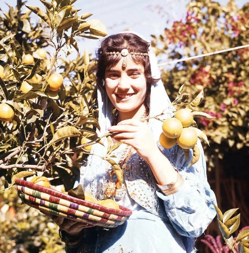 hoggar62's tweet photo. هذه الفاتنة الناعمة، جميلة المًبًسمْ ابنة مدينة وهران، 
التقطت الصورة سنة 1963.

#وهران_الجزائر🇩🇿
#بنات_الغرب_الجزائري ❤ https://t.co/RNNKuNFE19