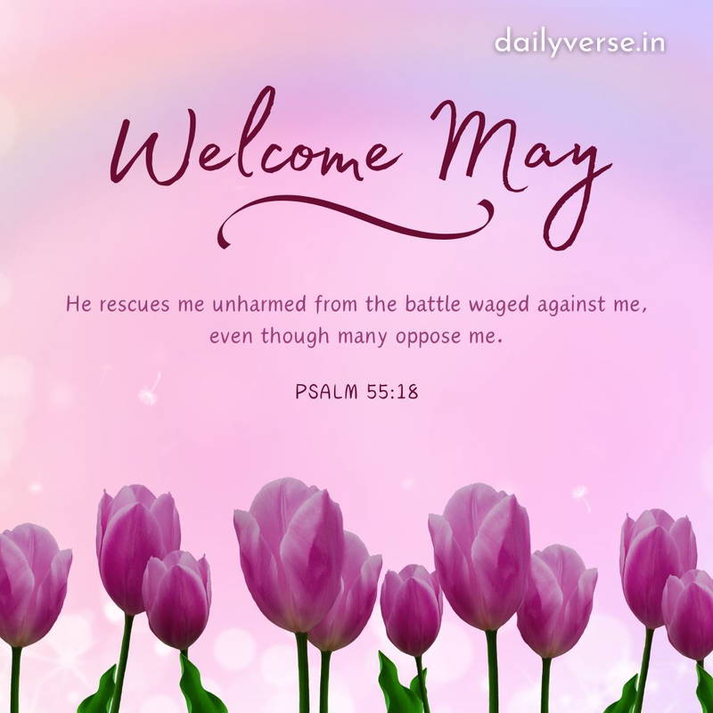 Paula F 🙏 (@mamaw1521) on Twitter photo 